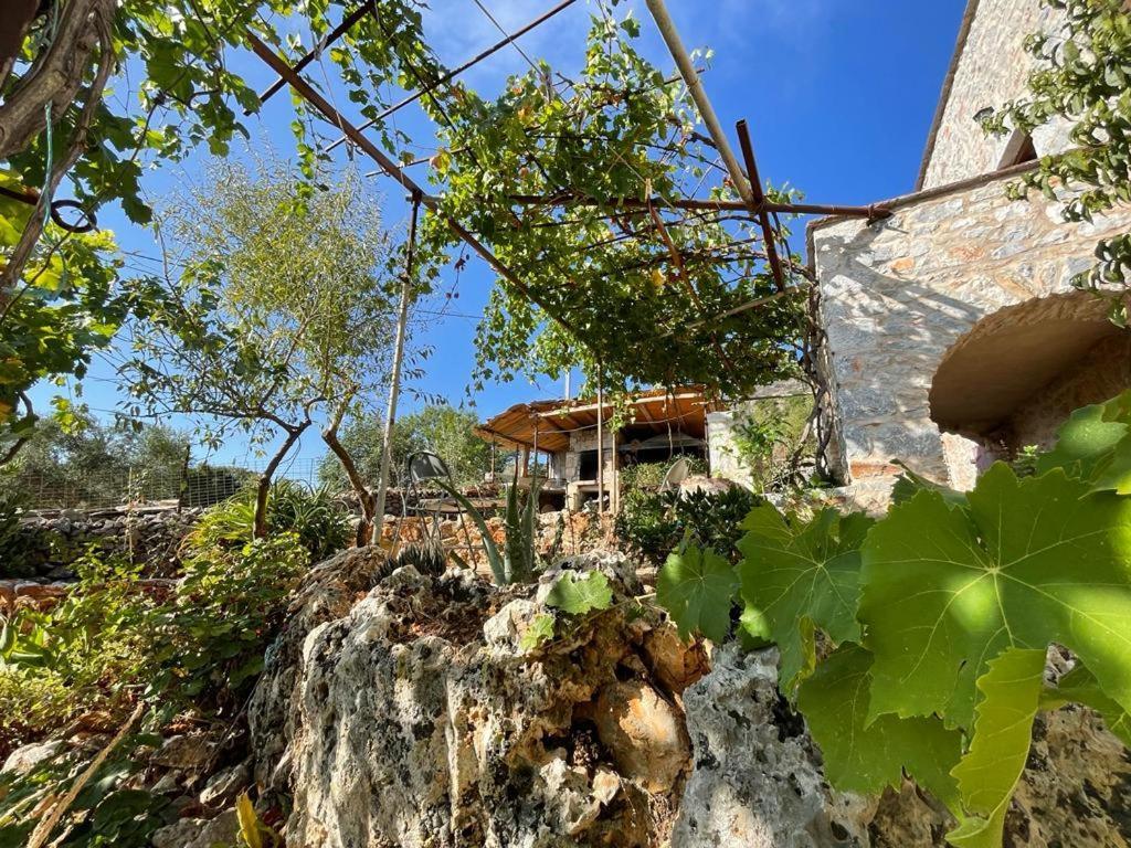 Find Your Peace In A Traditional Country House!! Lagia Екстер'єр фото